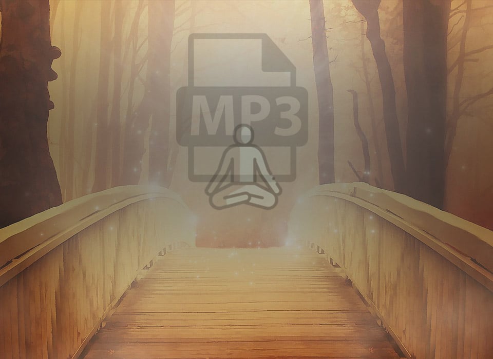 La méditation Ānāpānasati