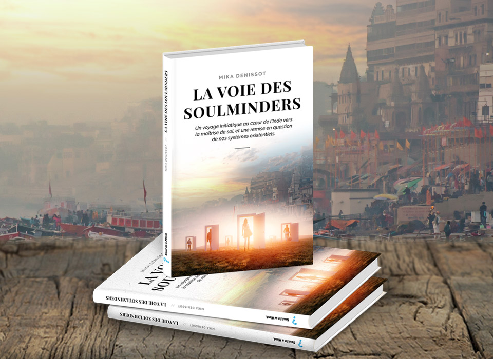 Roman la Voie des Soulminders par Mika Denissot