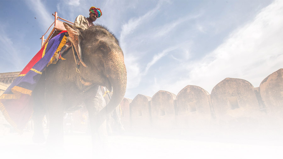 Extrait du roman La voie des Soulminders