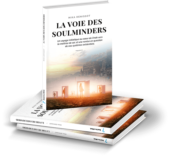 Roman la Voie des Soulminders par Mika Denissot