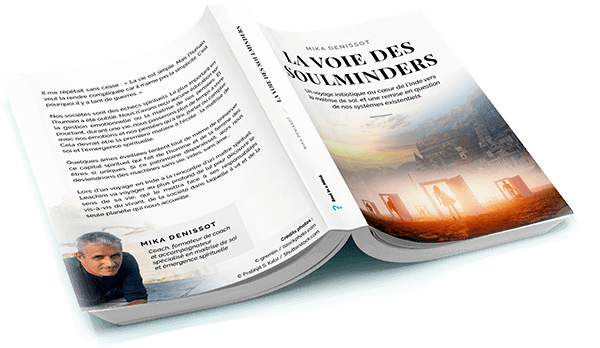 Roman la Voie des Soulminders par Mika Denissot