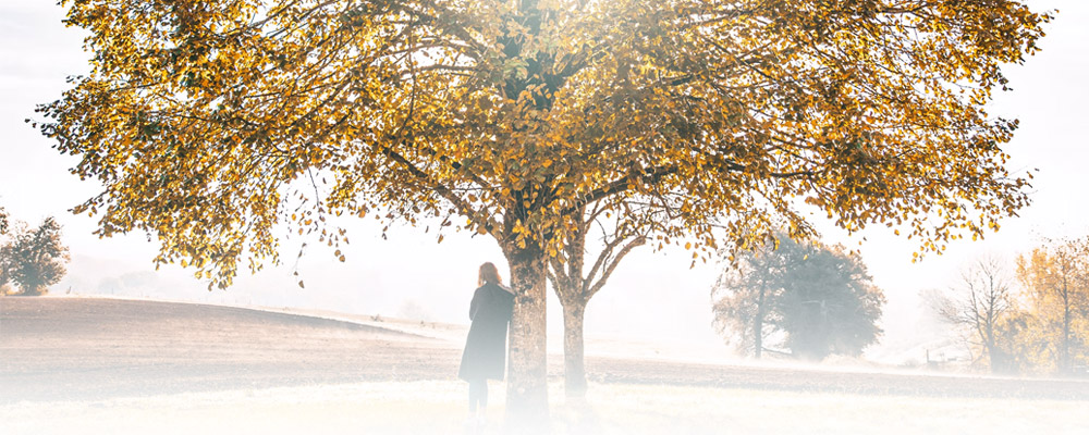 Le symbole au service de votre arbre de vie