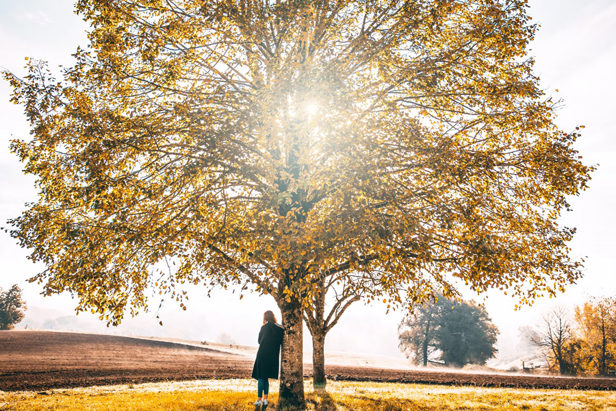 Découvrir votre vie symbolique : comment les symboles influencent votre existence