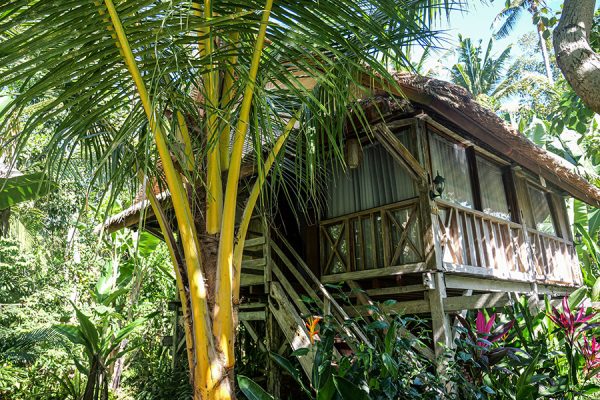 Retraite méditative Bali - Suite vue jungle, chambre 117 (solo)