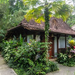 Keramas Sacred River Village - Suite vue piscine